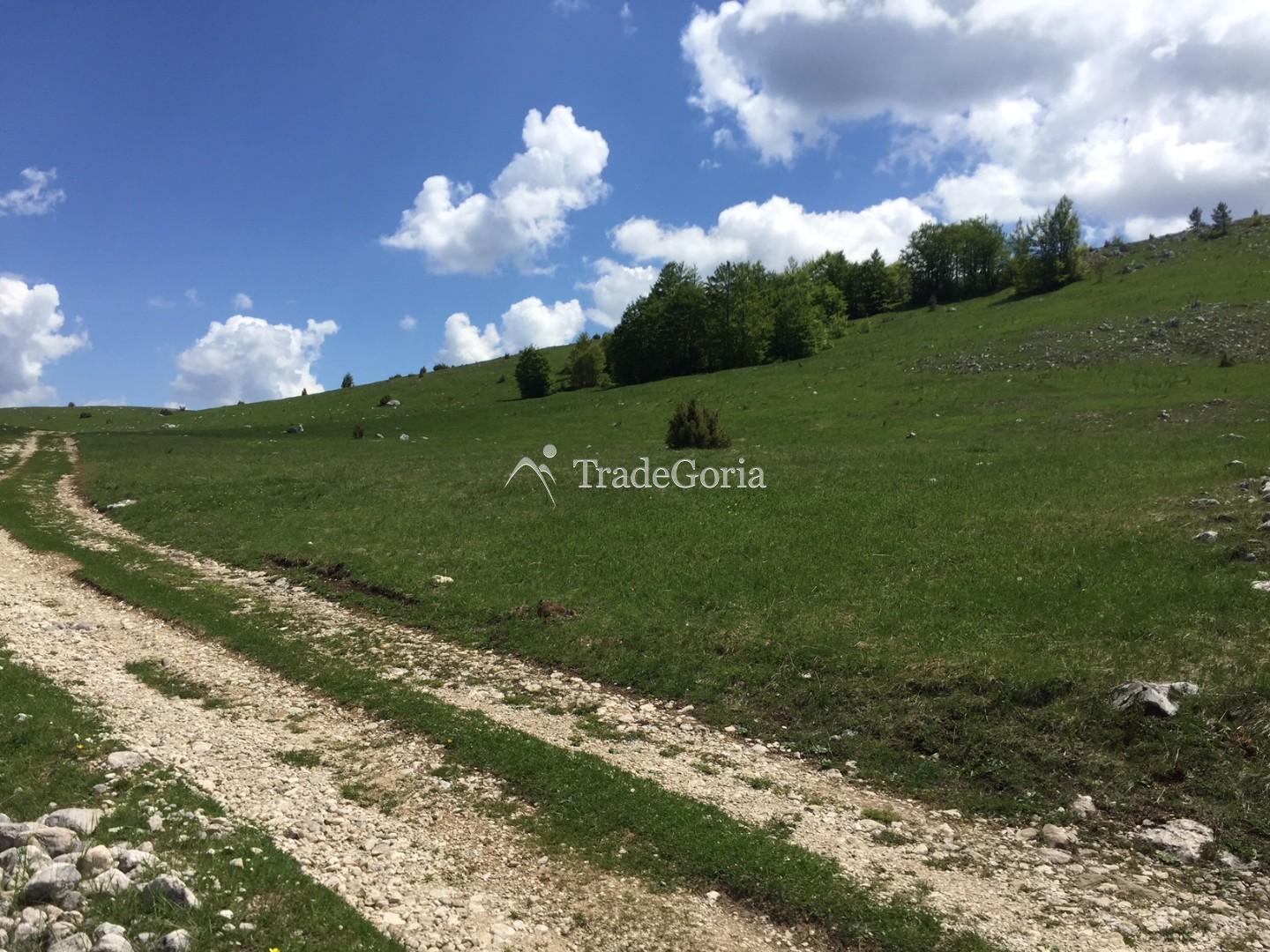 Grundstücke in Zabljak in der Nähe des Vrazje-Sees