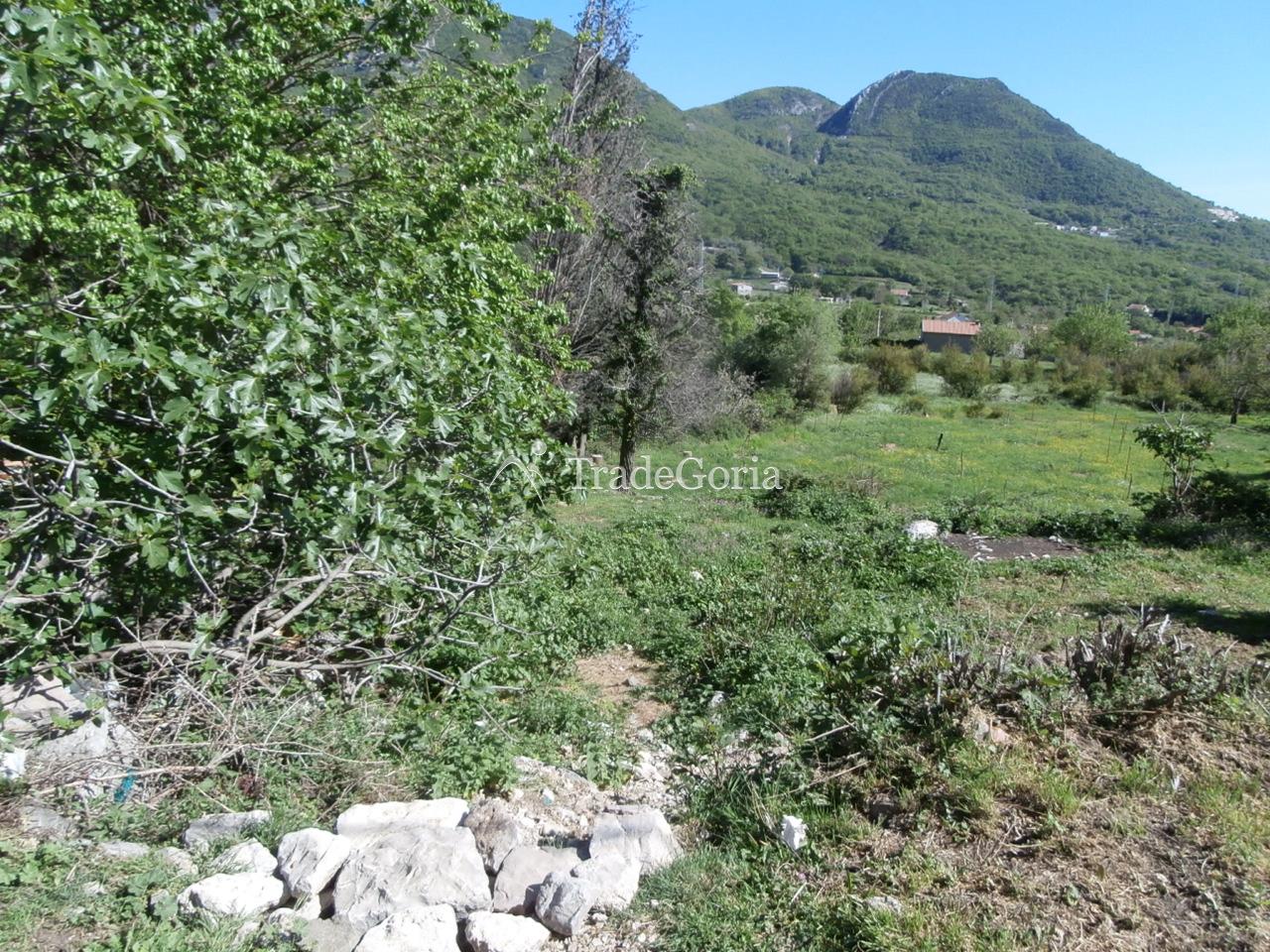 Land plot in Zubtsy village