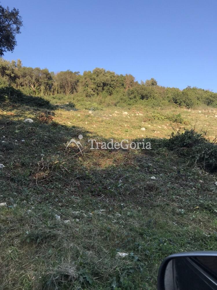 Land plot in Uteha, total area of 1594m2