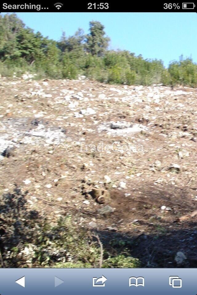 Land plot in Uteha, total area of 1594m2
