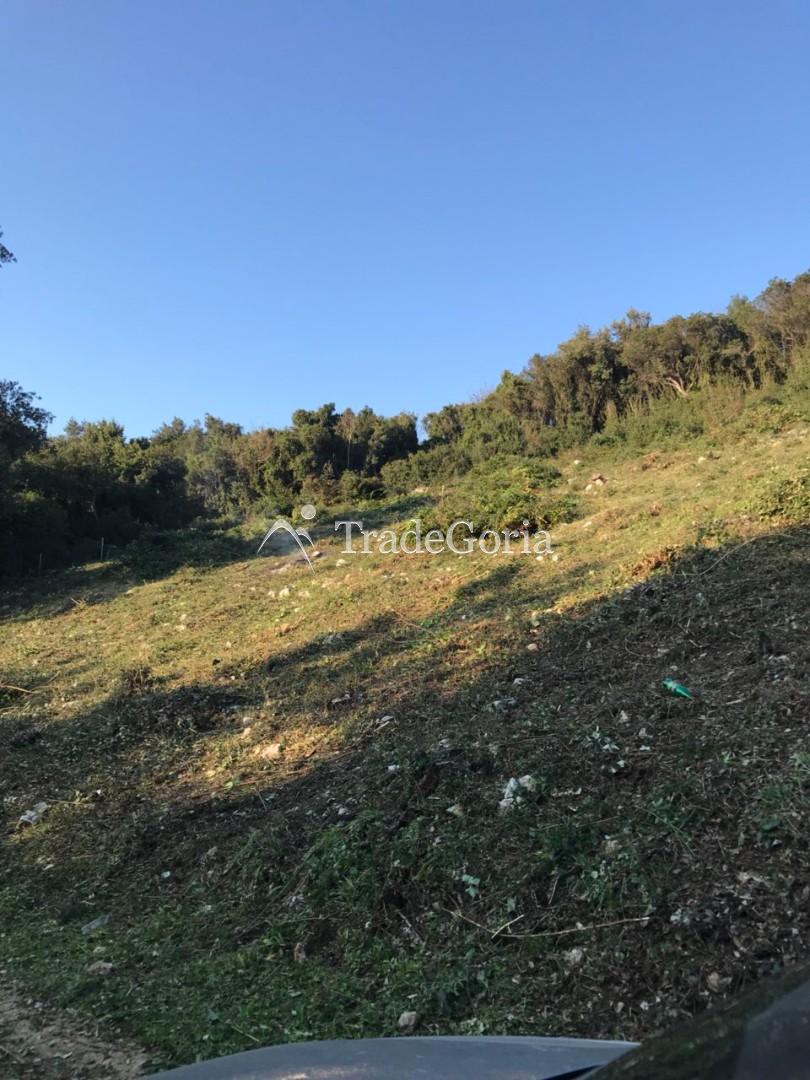 Land plot in Uteha, total area of 1594m2