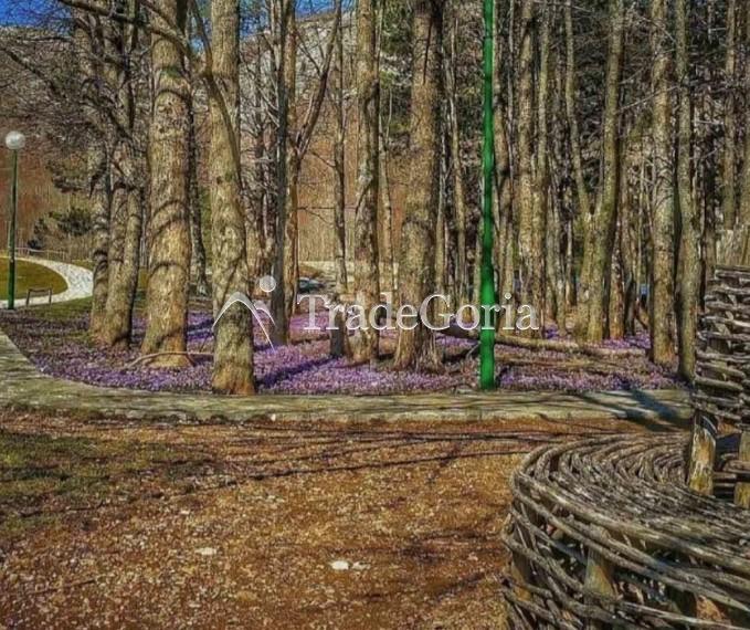 Grundstück mit zwei registrierten Gebäuden im Nationalpark