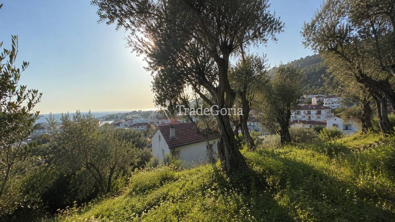 Sea-view land with centuries-old olive trees in Stari Bar