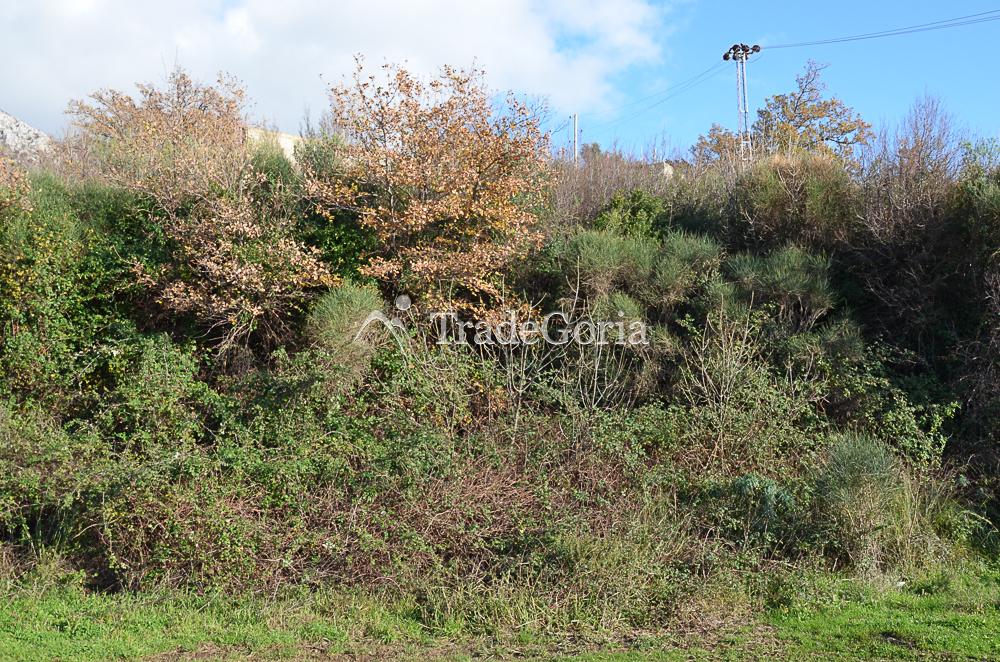 Land plot with sea view in Sutomore near the beach