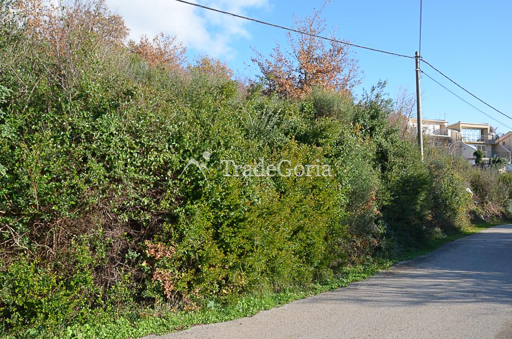 Land plot with sea view in Sutomore near the beach