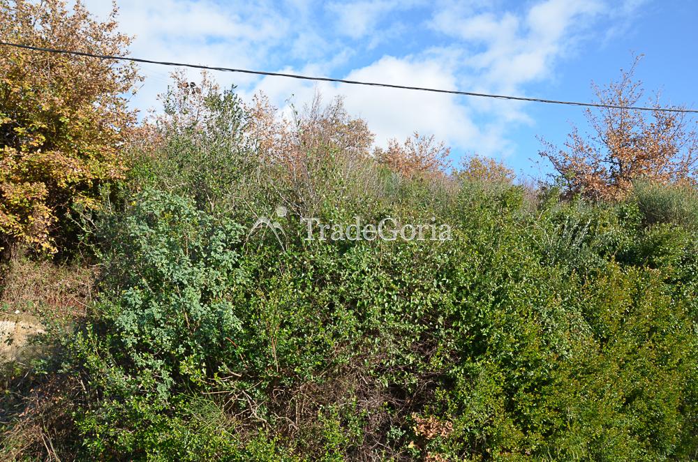 Land plot with sea view in Sutomore near the beach
