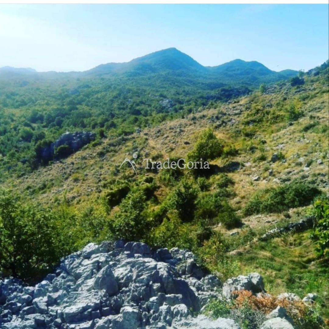 Land Plot in Cetinje, Village Shtitari