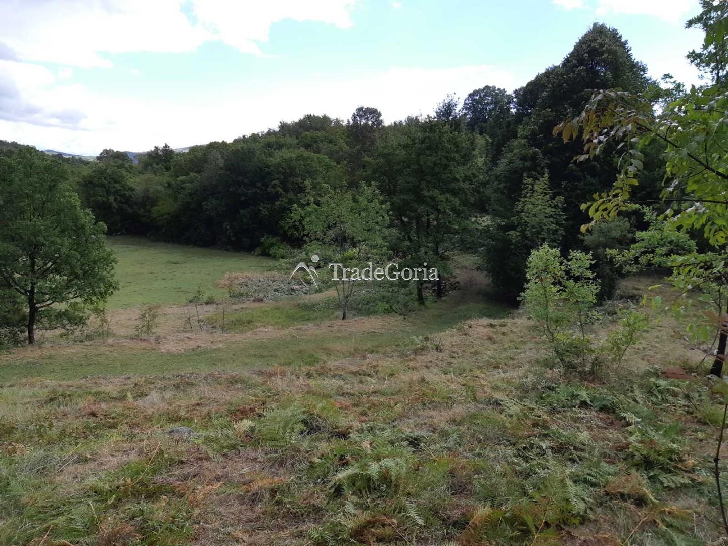 Land Plot in Cetinje, Village Shtitari
