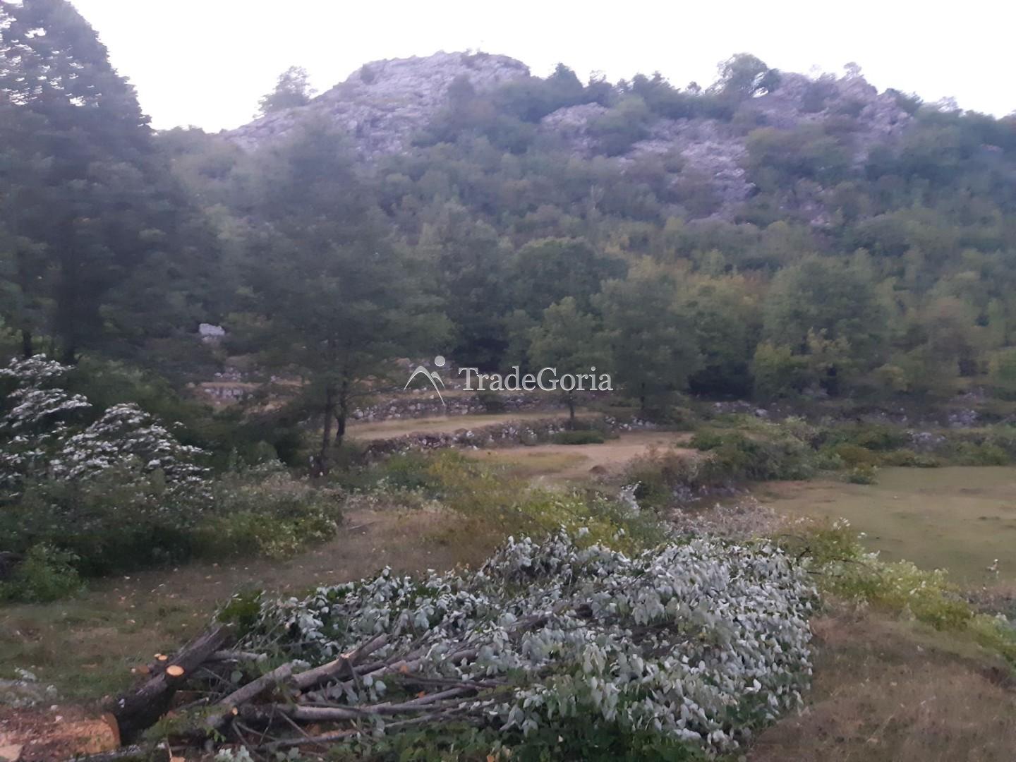 Land Plot in Cetinje, Village Shtitari
