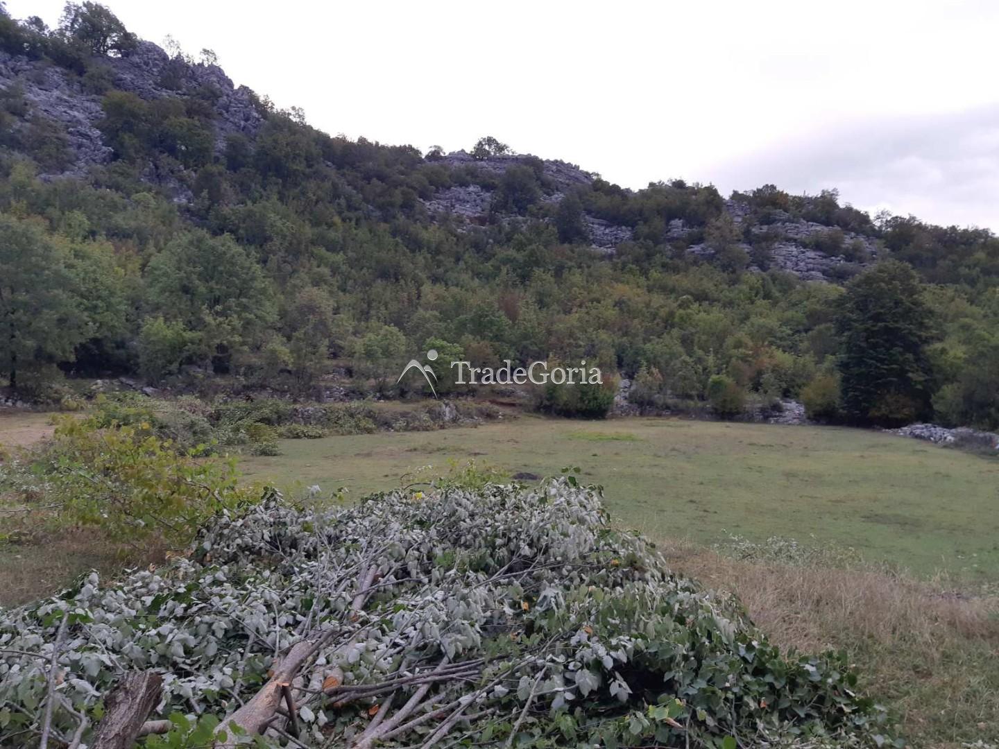Land Plot in Cetinje, Village Shtitari