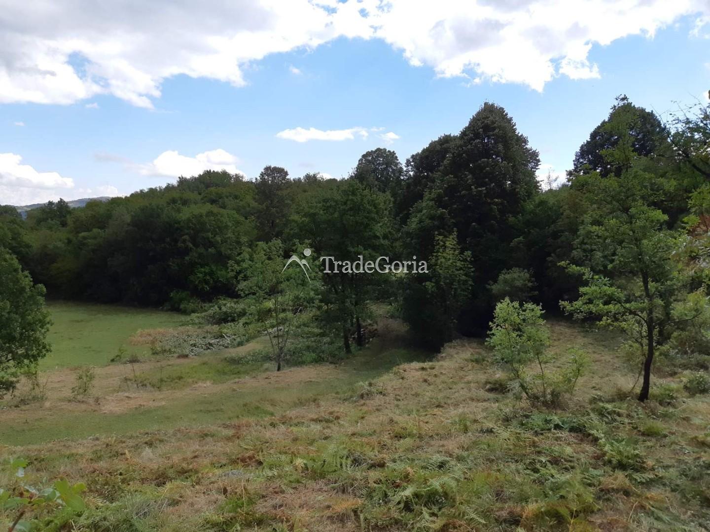 Land Plot in Cetinje, Village Shtitari