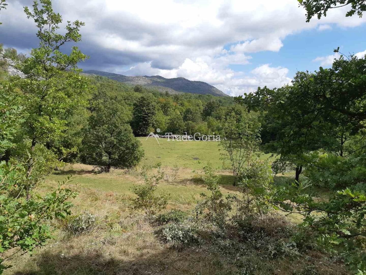 Land Plot in Cetinje, Village Shtitari