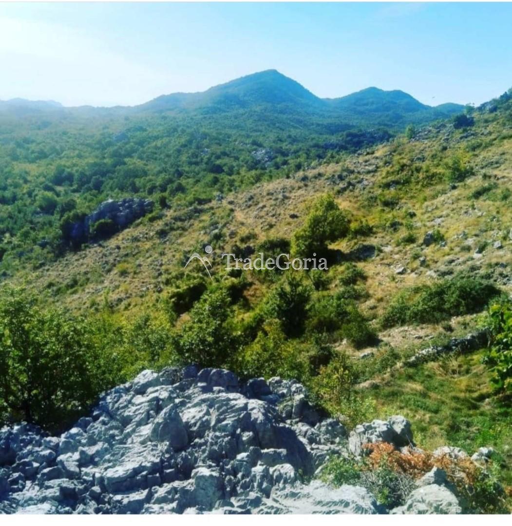 Land Plot in Cetinje, Village Shtitari