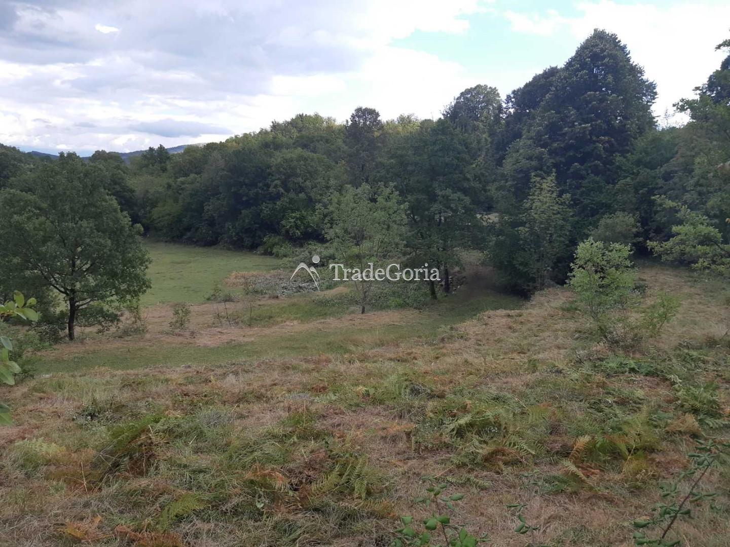 Land Plot in Cetinje, Village Shtitari