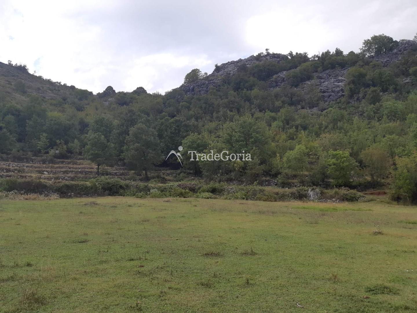 Land Plot in Cetinje, Village Shtitari