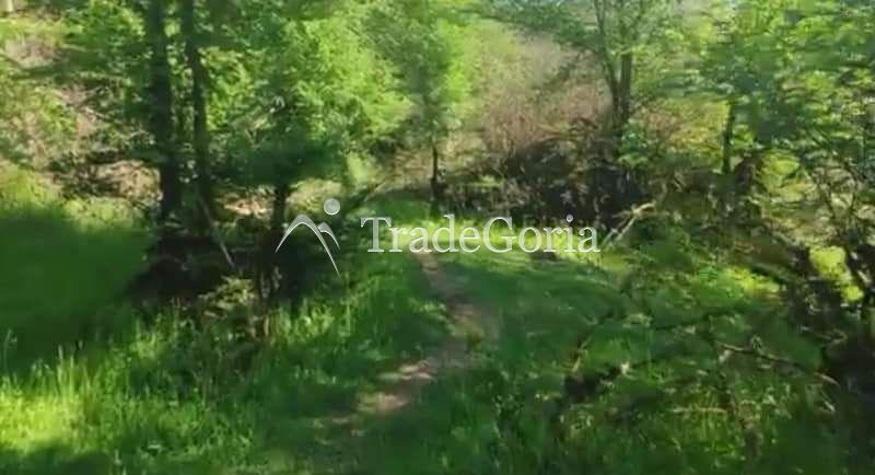 Land for Sale near Podgorica